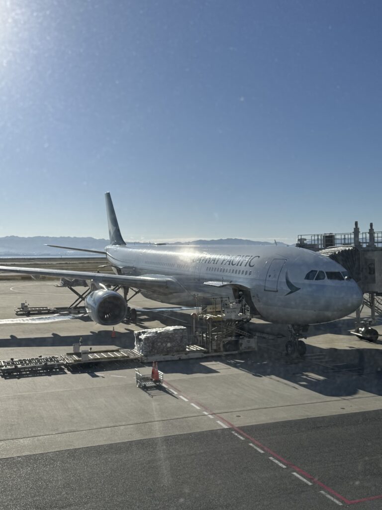 搭乗機全景